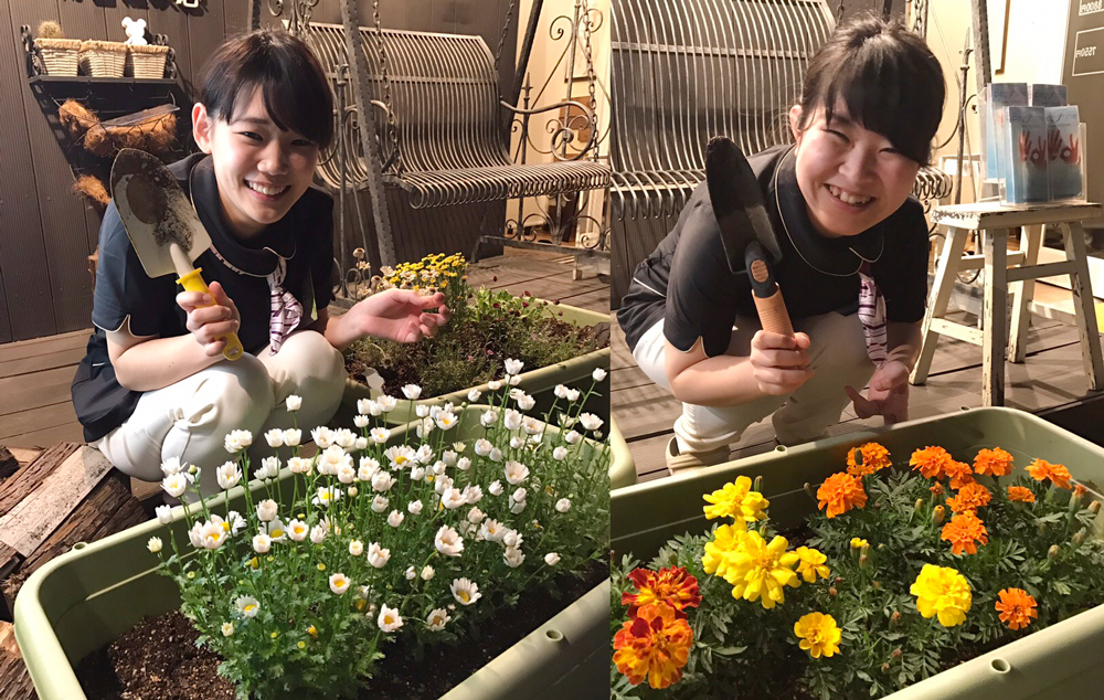 ビファインのお花
